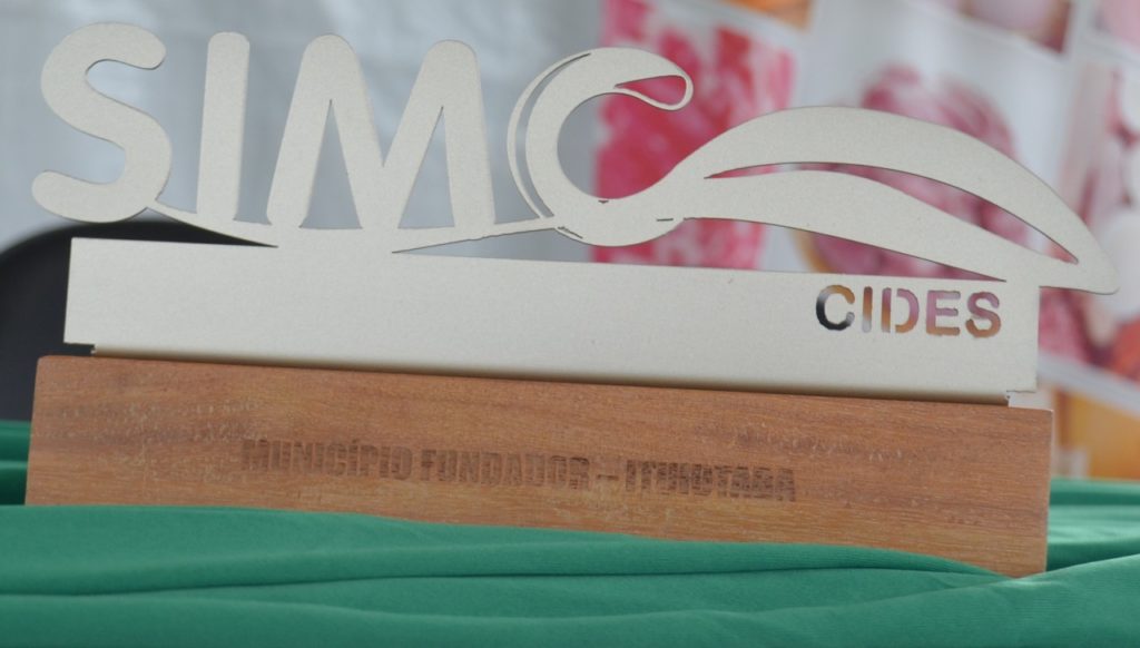 Histórico sobre a criação do SIMC Histórico sobre a criação do SIMC