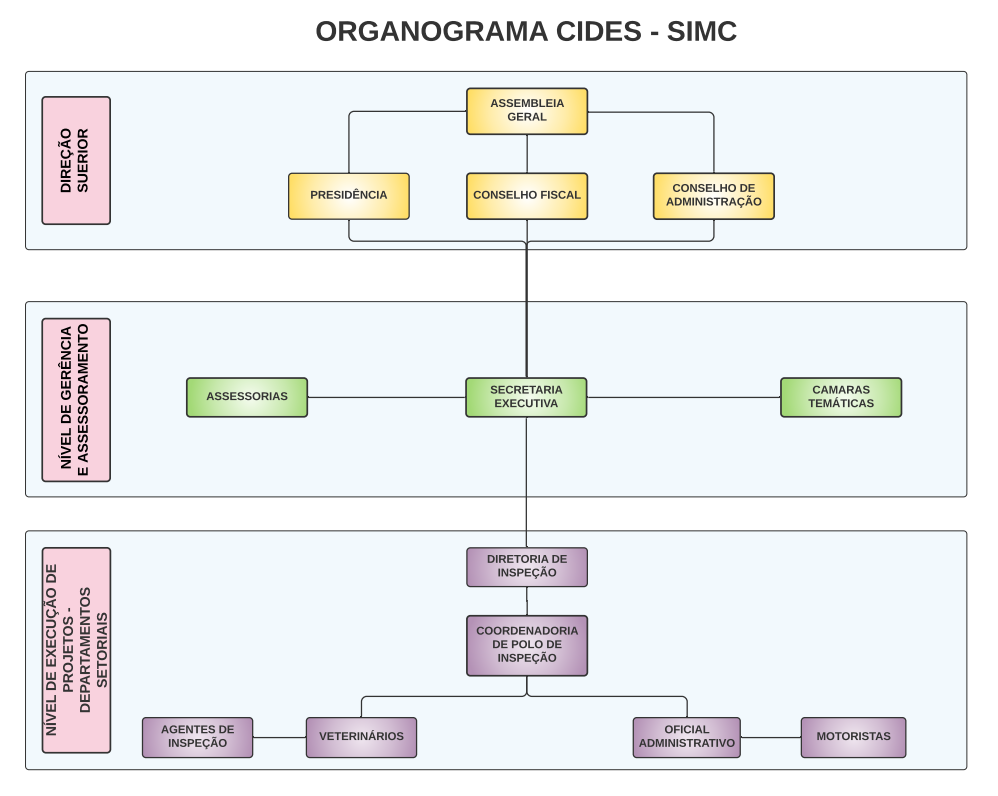 Estrutura organizacional