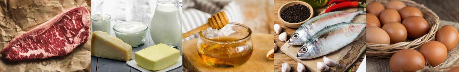 Elementor Header #1546 Elementor Header #1546