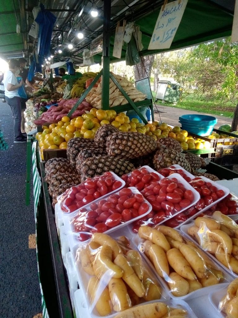 Segundo seminário de feiras livres atrai participantes de  todas regiões